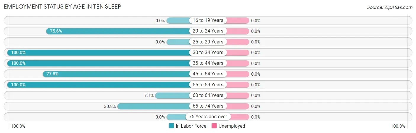 Employment Status by Age in Ten Sleep