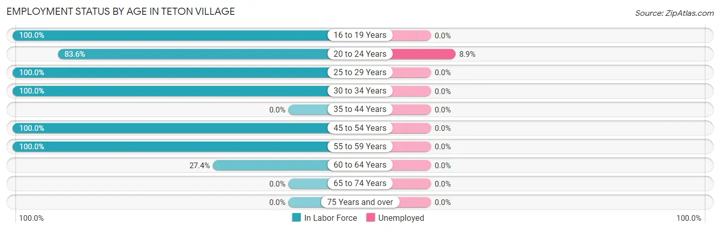 Employment Status by Age in Teton Village