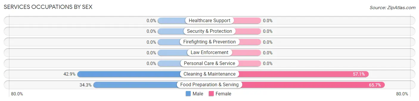 Services Occupations by Sex in Teton Village