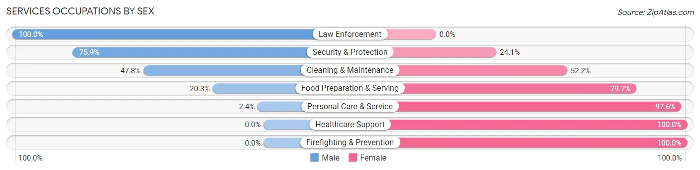 Services Occupations by Sex in Torrington