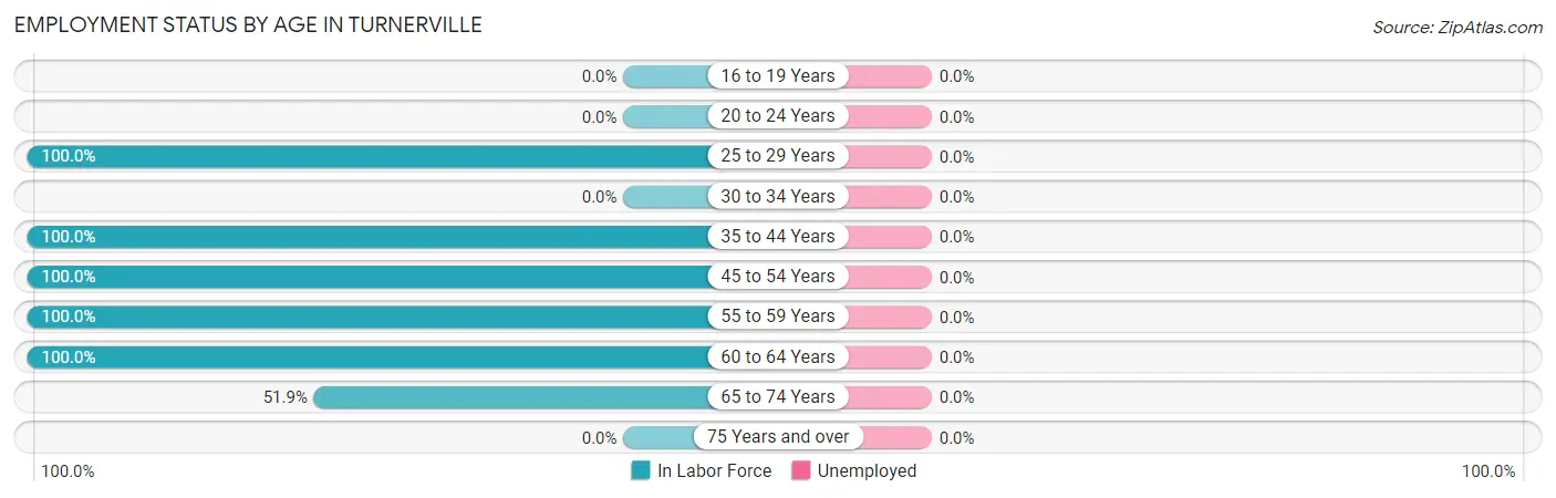Employment Status by Age in Turnerville