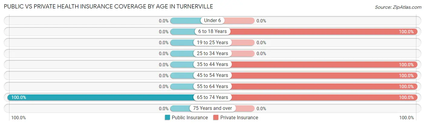 Public vs Private Health Insurance Coverage by Age in Turnerville