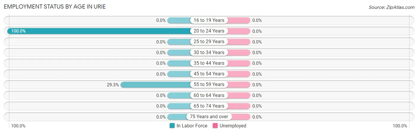 Employment Status by Age in Urie