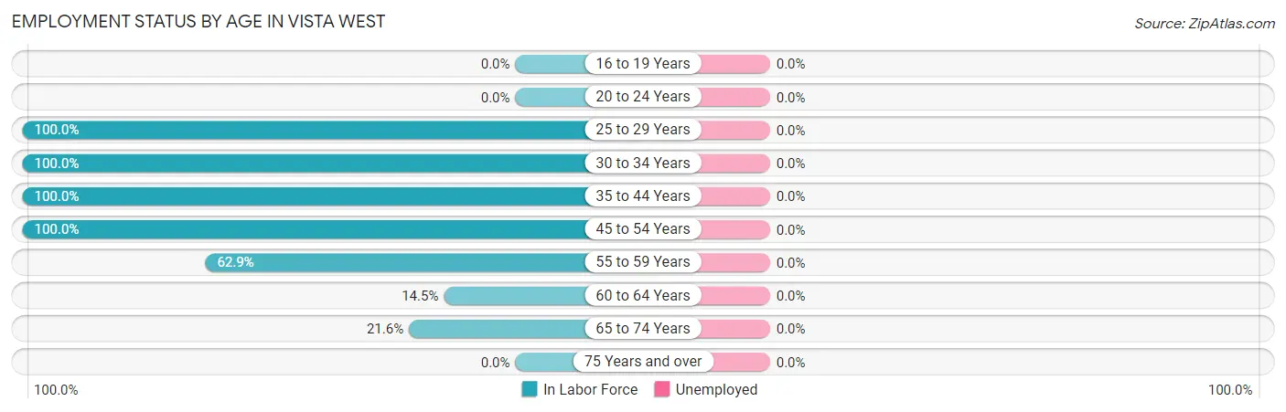 Employment Status by Age in Vista West