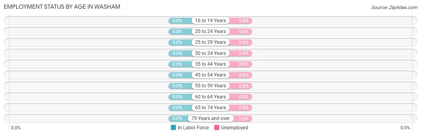 Employment Status by Age in Washam