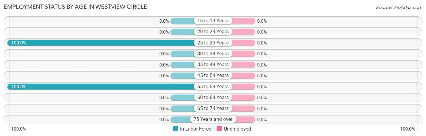 Employment Status by Age in Westview Circle