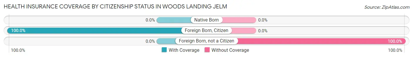 Health Insurance Coverage by Citizenship Status in Woods Landing Jelm