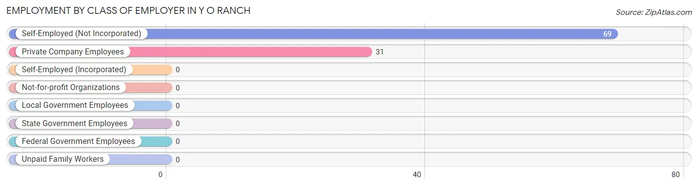 Employment by Class of Employer in Y O Ranch