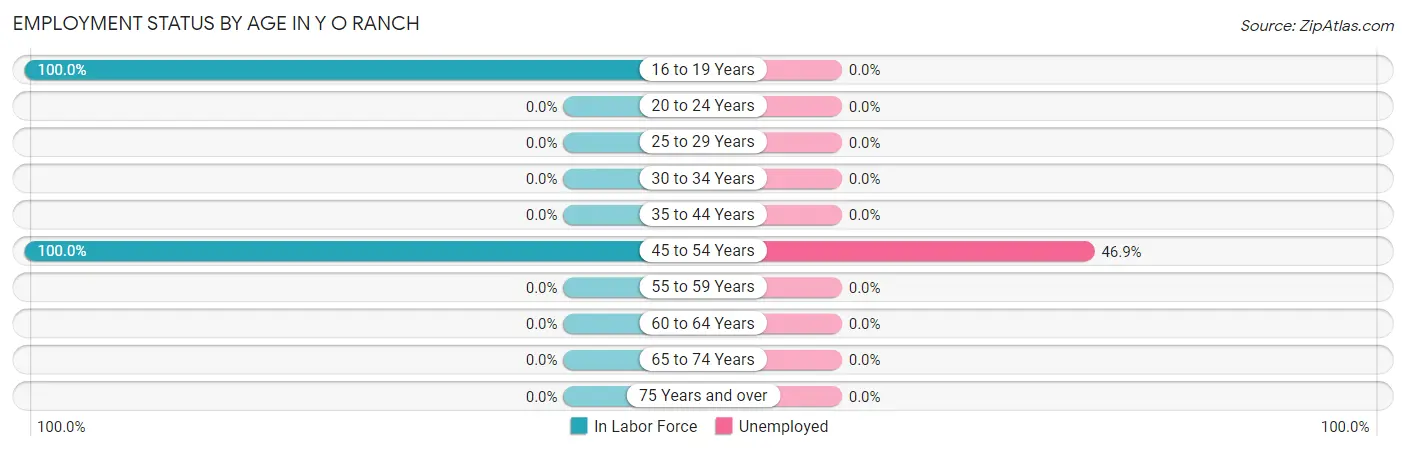 Employment Status by Age in Y O Ranch