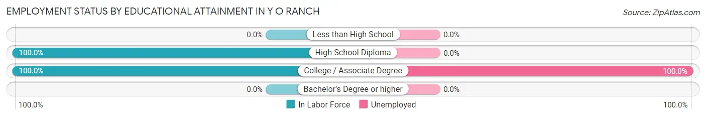 Employment Status by Educational Attainment in Y O Ranch