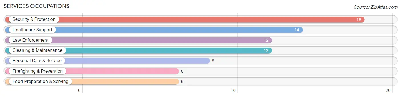 Services Occupations in Bristol Bay Borough