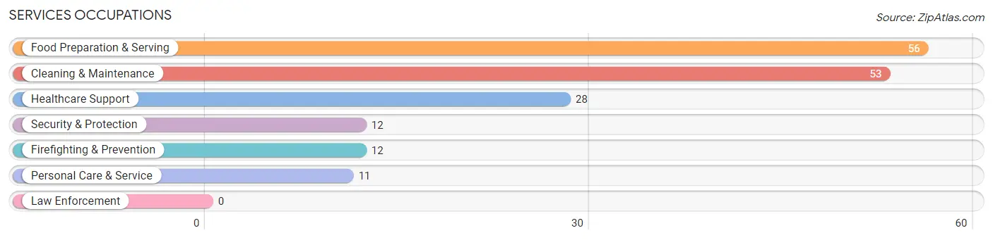 Services Occupations in Haines Borough