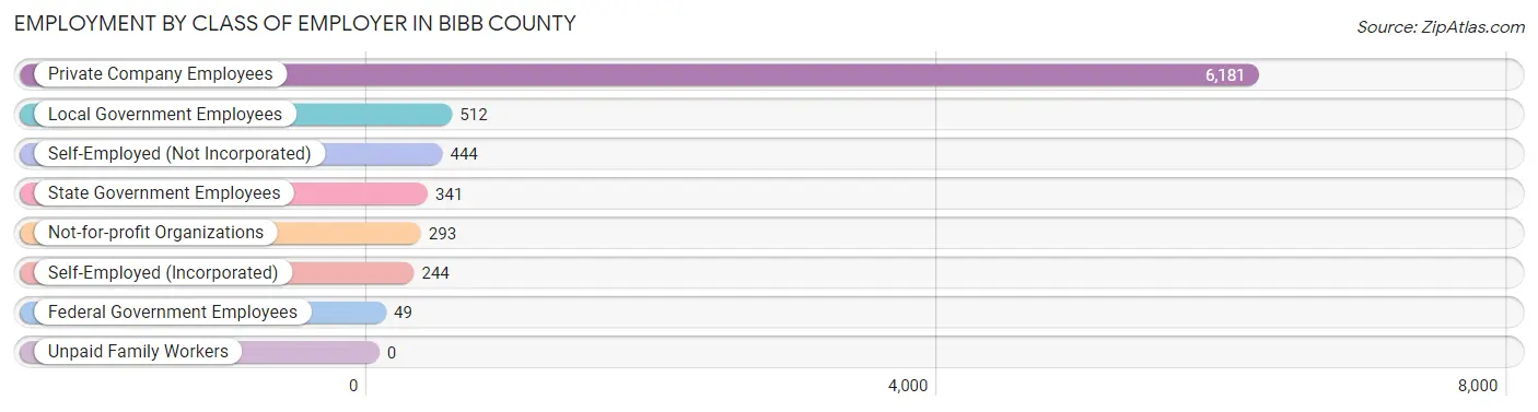 Employment by Class of Employer in Bibb County