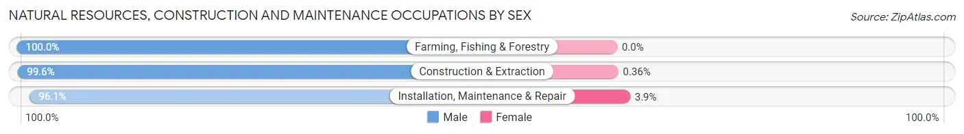 Natural Resources, Construction and Maintenance Occupations by Sex in Bibb County