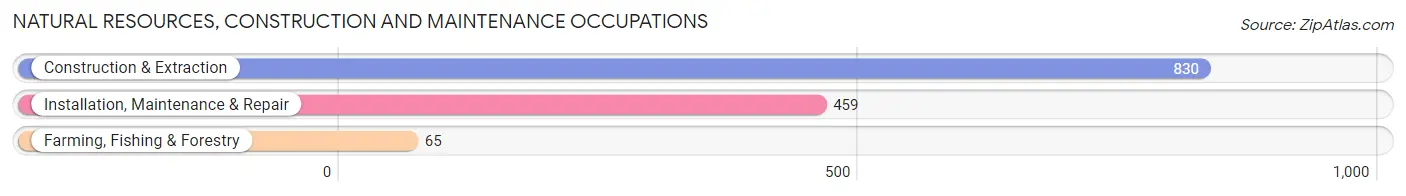 Natural Resources, Construction and Maintenance Occupations in Bibb County