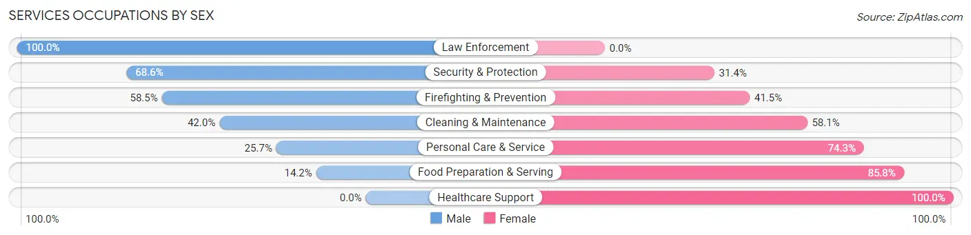 Services Occupations by Sex in Bibb County