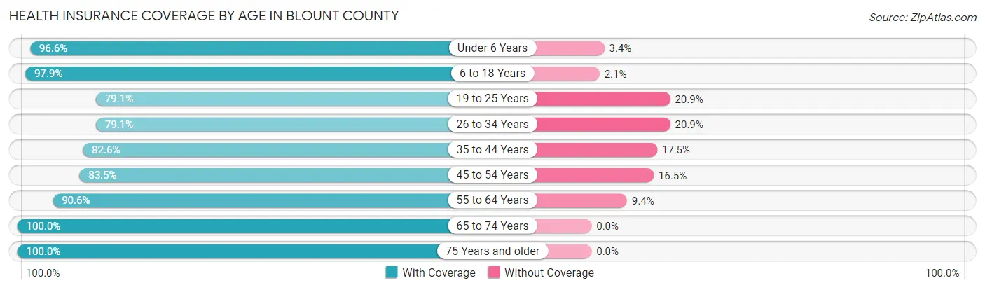 Health Insurance Coverage by Age in Blount County
