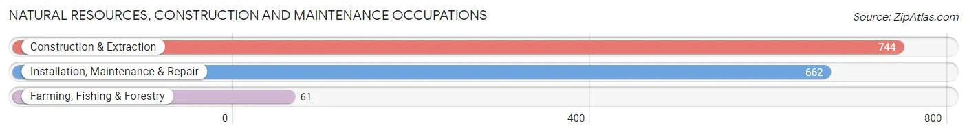 Natural Resources, Construction and Maintenance Occupations in Chambers County