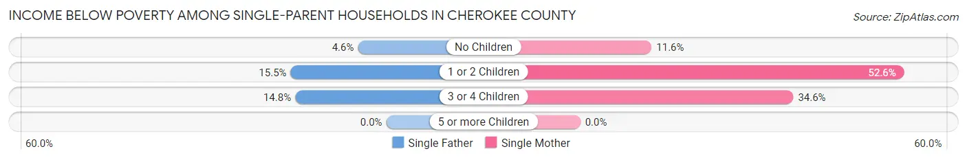 Income Below Poverty Among Single-Parent Households in Cherokee County
