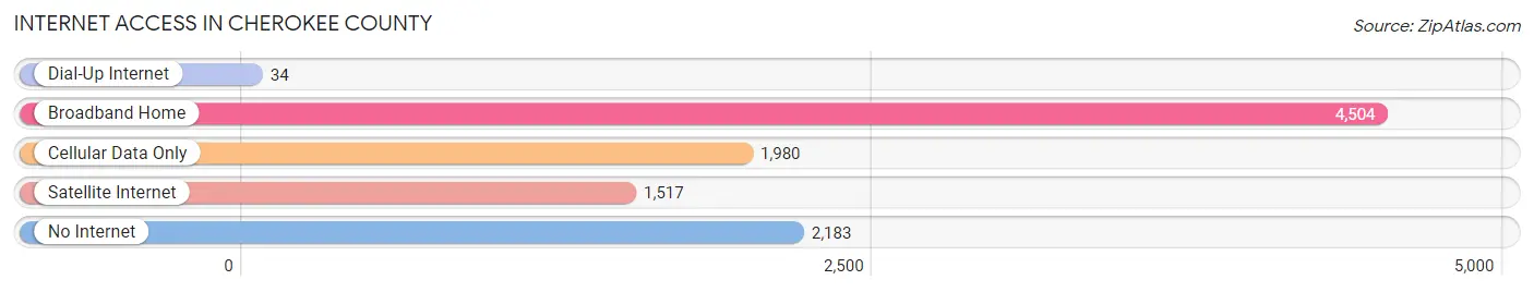 Internet Access in Cherokee County