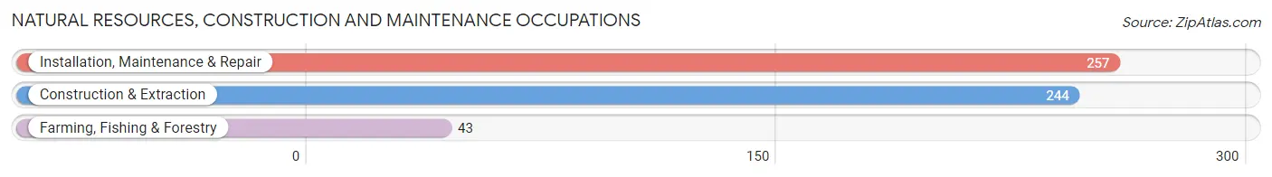 Natural Resources, Construction and Maintenance Occupations in Coosa County