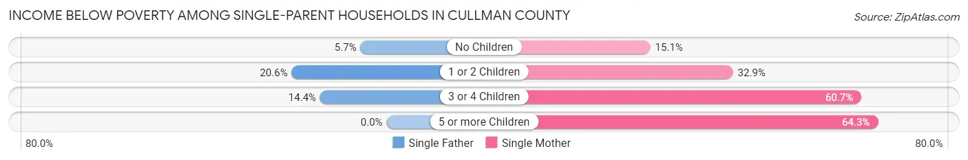 Income Below Poverty Among Single-Parent Households in Cullman County