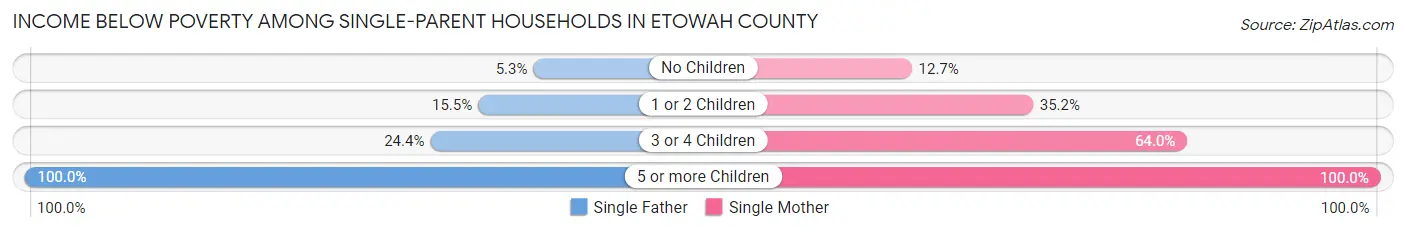 Income Below Poverty Among Single-Parent Households in Etowah County
