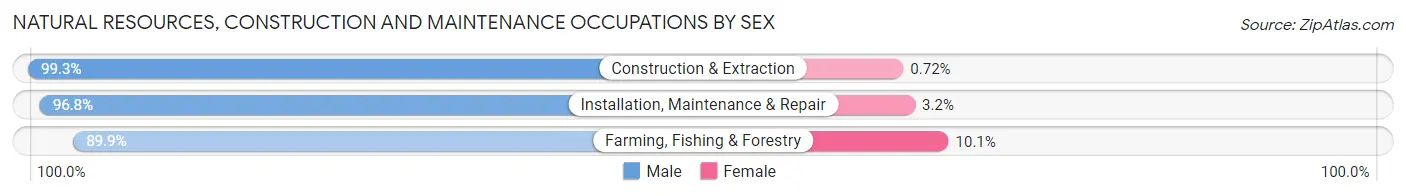 Natural Resources, Construction and Maintenance Occupations by Sex in Etowah County