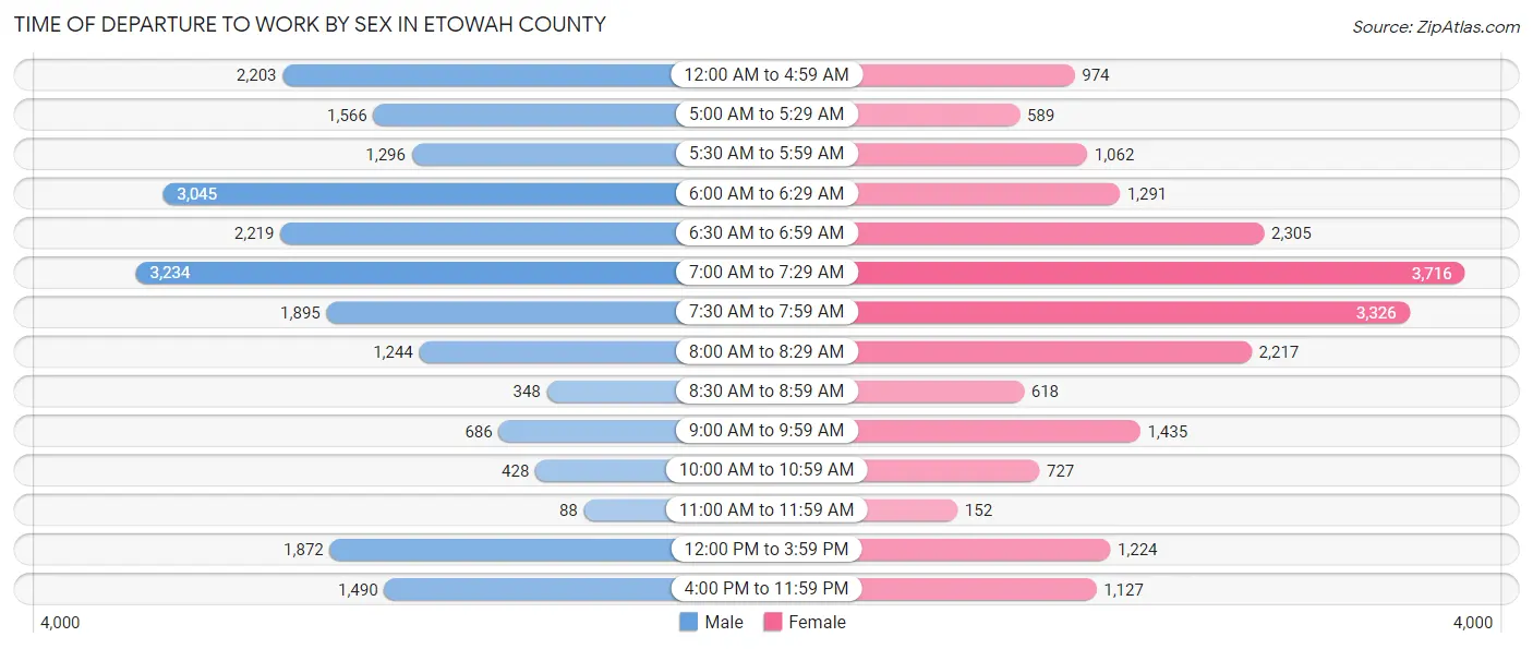 Time of Departure to Work by Sex in Etowah County