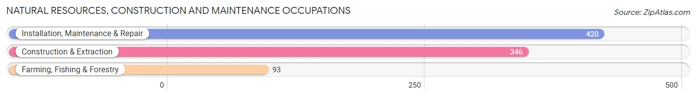 Natural Resources, Construction and Maintenance Occupations in Henry County