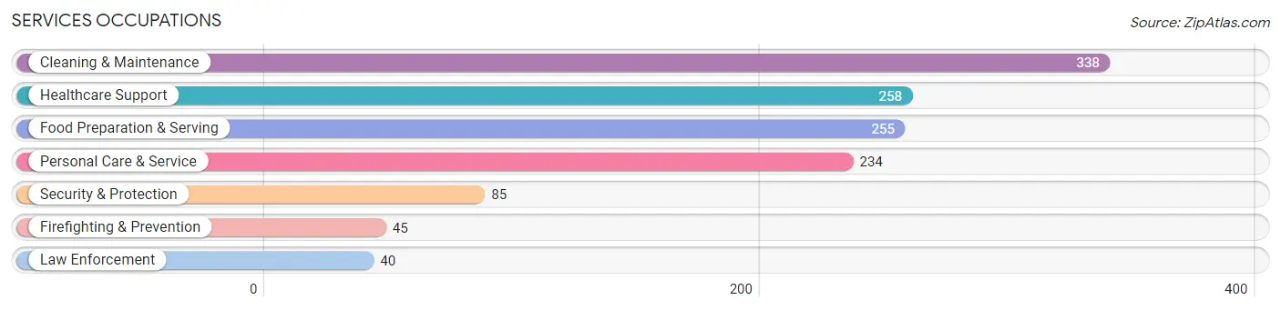 Services Occupations in Henry County