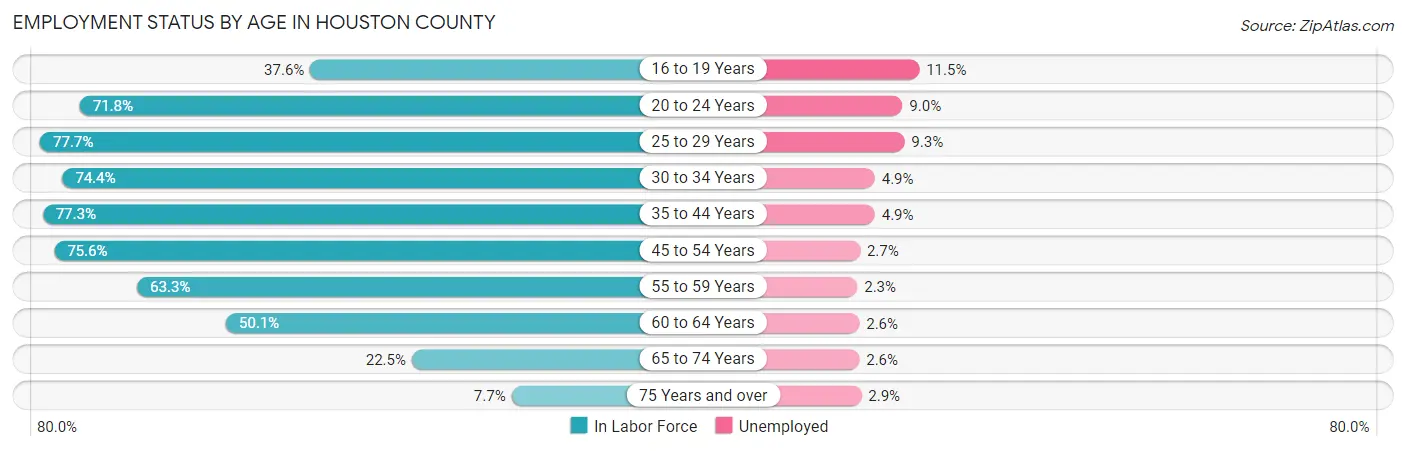 Employment Status by Age in Houston County
