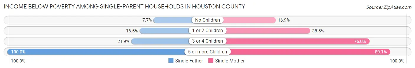 Income Below Poverty Among Single-Parent Households in Houston County