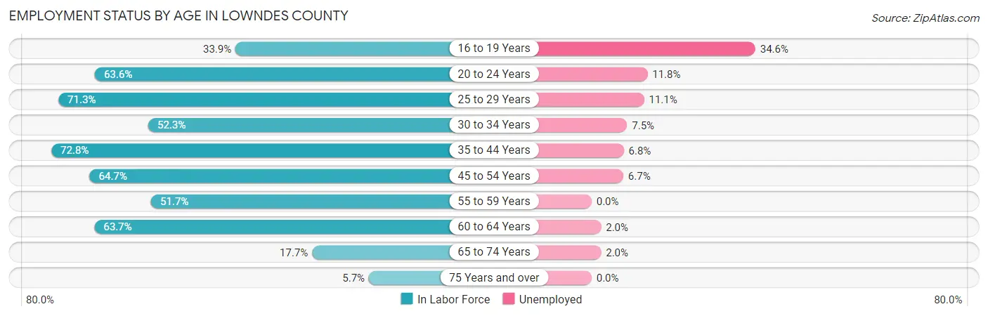 Employment Status by Age in Lowndes County