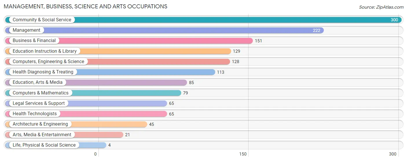 Management, Business, Science and Arts Occupations in Lowndes County