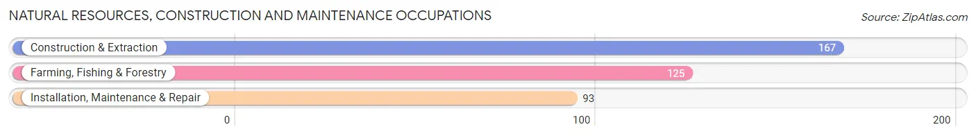 Natural Resources, Construction and Maintenance Occupations in Lowndes County