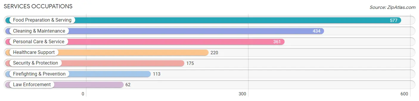 Services Occupations in Macon County