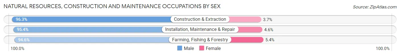 Natural Resources, Construction and Maintenance Occupations by Sex in Madison County