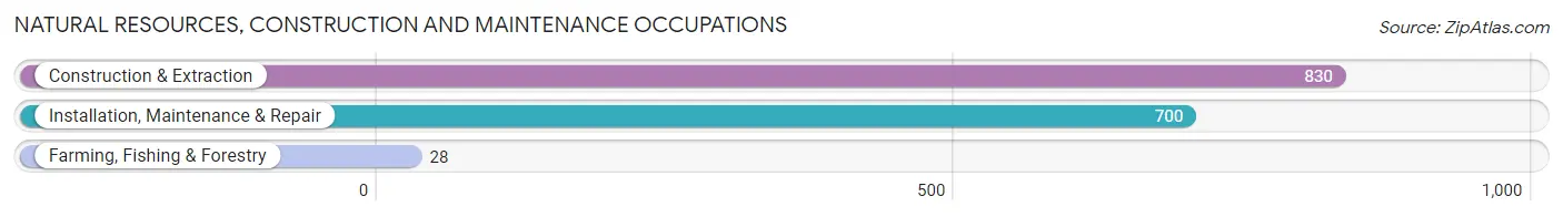 Natural Resources, Construction and Maintenance Occupations in Marion County