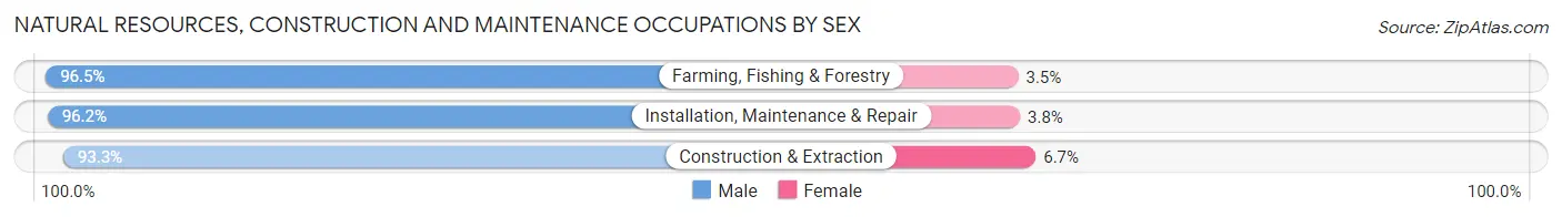 Natural Resources, Construction and Maintenance Occupations by Sex in Mobile County