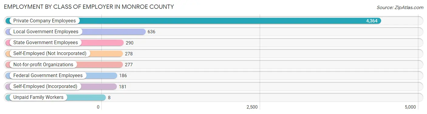 Employment by Class of Employer in Monroe County