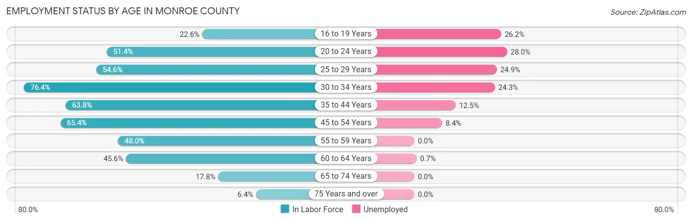 Employment Status by Age in Monroe County