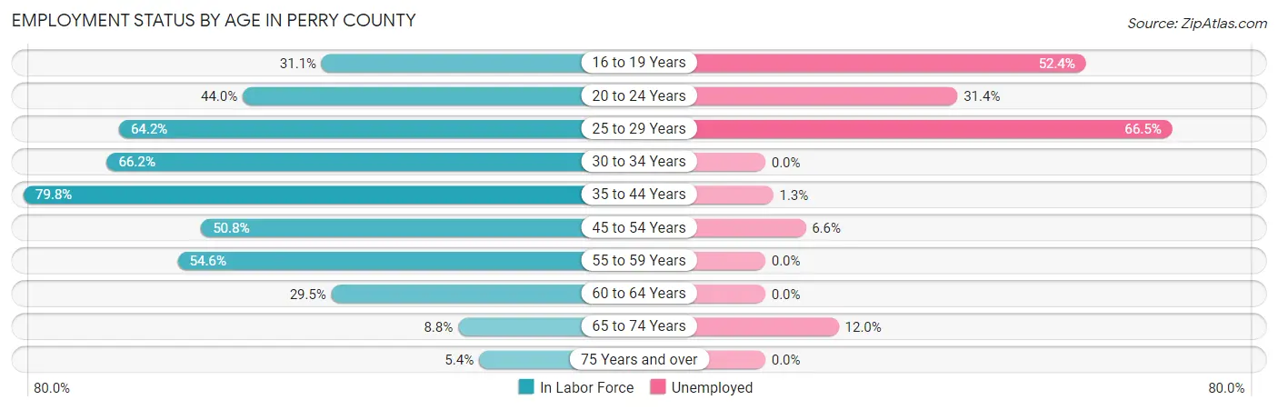 Employment Status by Age in Perry County