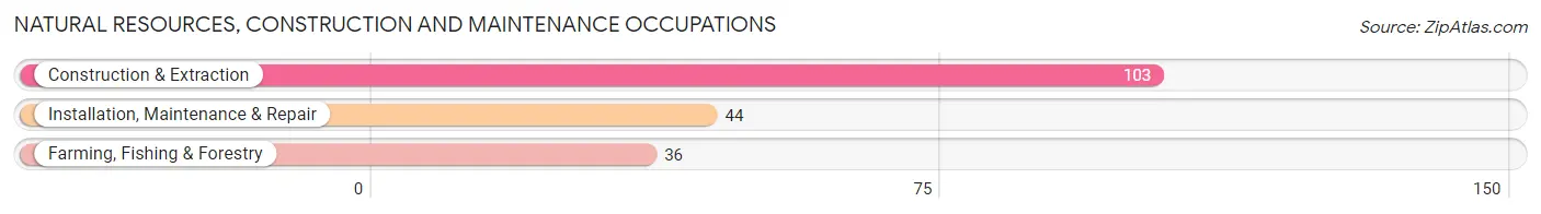 Natural Resources, Construction and Maintenance Occupations in Perry County