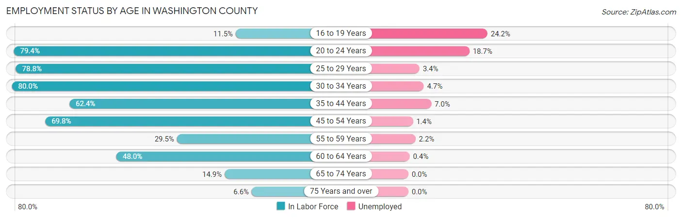 Employment Status by Age in Washington County