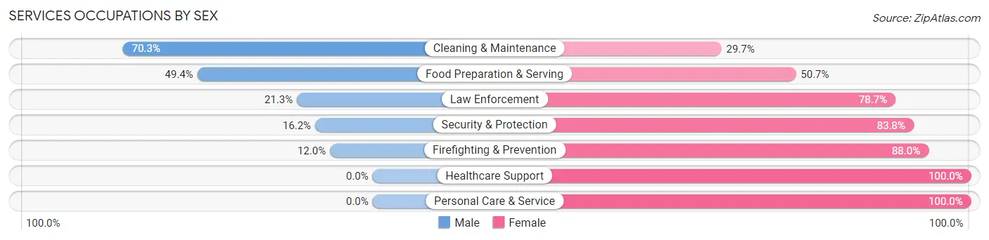 Services Occupations by Sex in Washington County