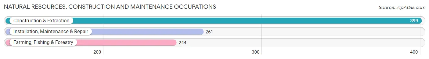 Natural Resources, Construction and Maintenance Occupations in Arkansas County