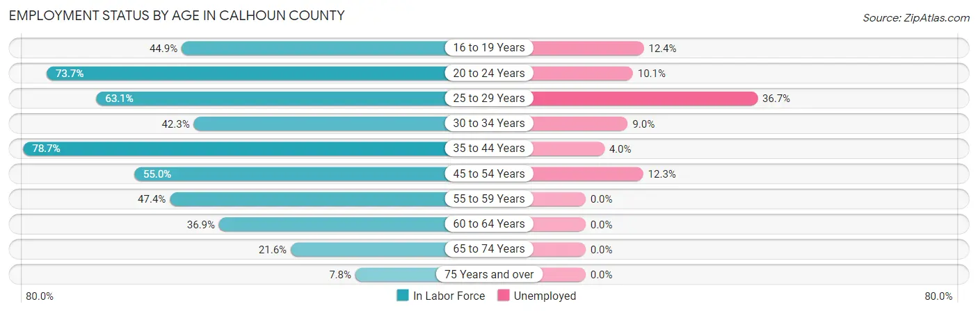 Employment Status by Age in Calhoun County