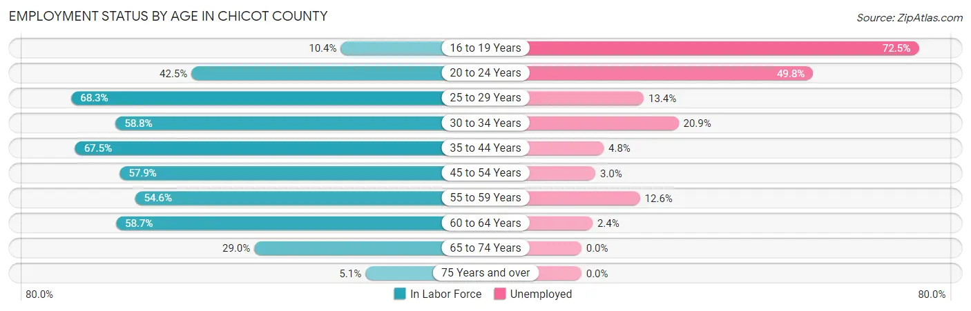 Employment Status by Age in Chicot County