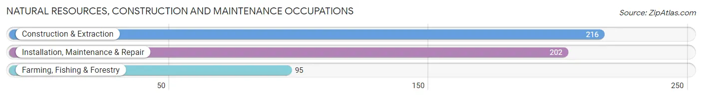 Natural Resources, Construction and Maintenance Occupations in Chicot County